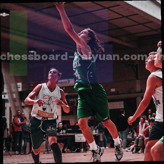 叠放的分类卡片与编号标签俯拍特写，纸面质感，单色调